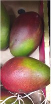 Le beurre de mangue : tout savoir sur cet ingrédient exotique